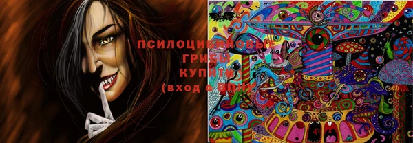 гидропоника Бронницы