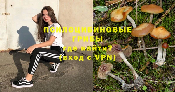 гидропоника Бронницы
